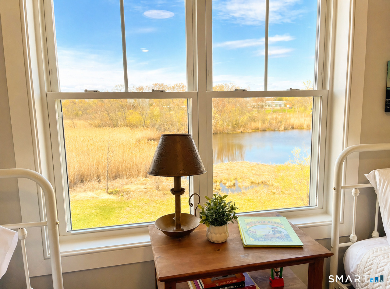 Pond view from the window